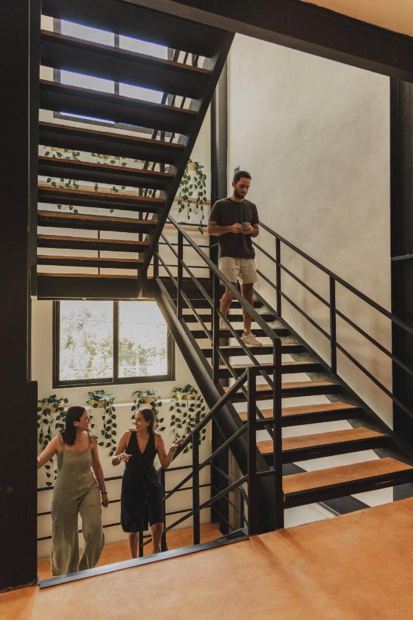 Caleta Hostel Rooftop & Pool كانكون المظهر الخارجي الصورة