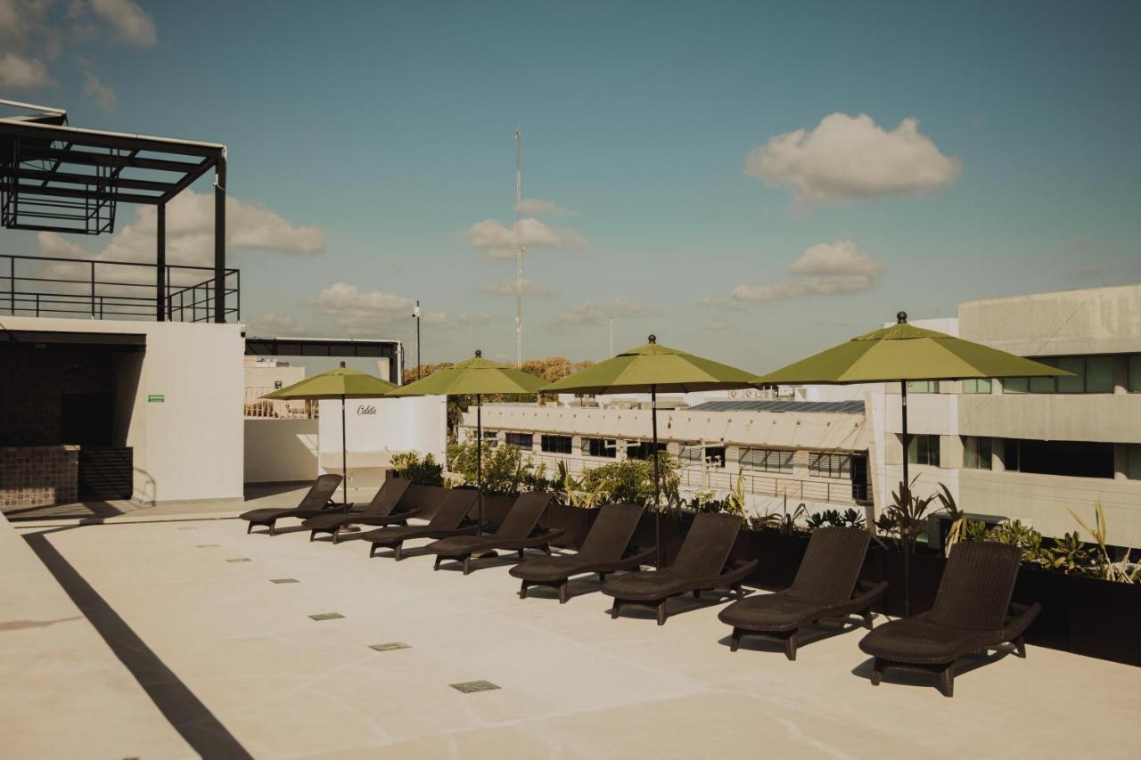 Caleta Hostel Rooftop & Pool كانكون المظهر الخارجي الصورة