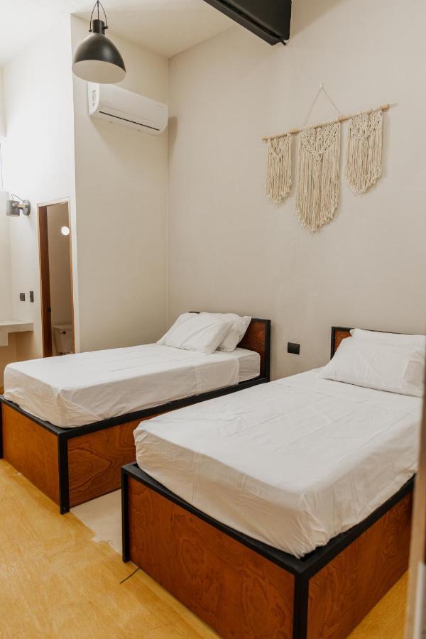 Caleta Hostel Rooftop & Pool كانكون المظهر الخارجي الصورة